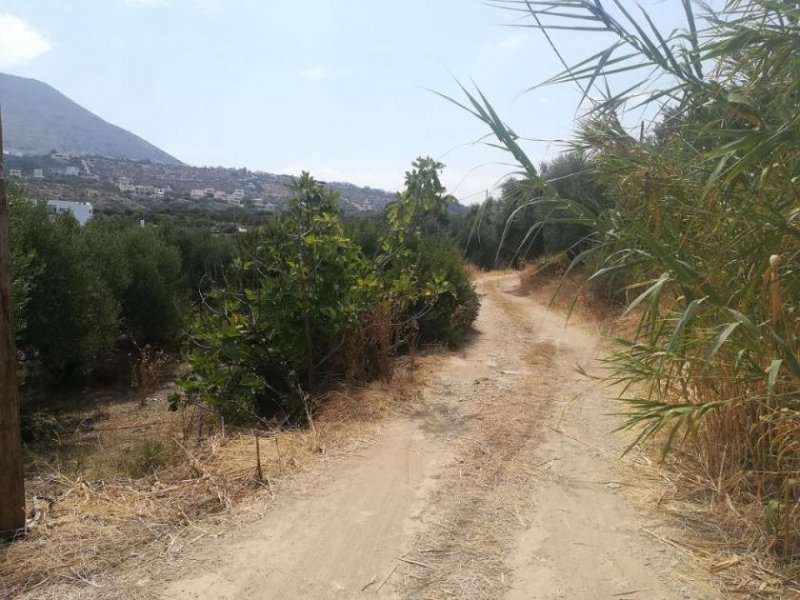 Plaka bei Chania Ausgezeichnetes Grundstück am Meer im Dorf Plaka Grundstück kaufen